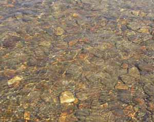 ������������� �����������