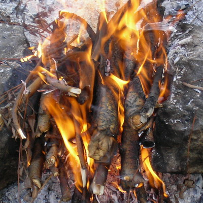 ������������� �����������