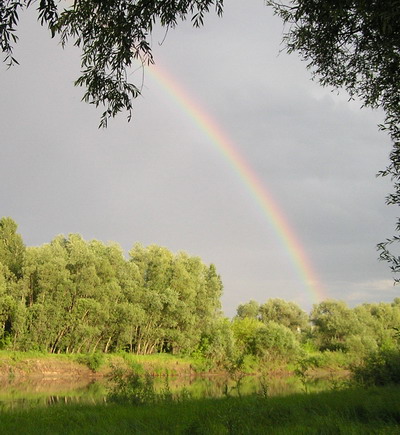 ������������� �����������