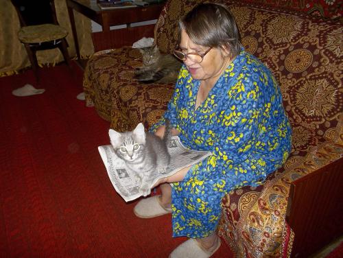 Прикрепленное изображение