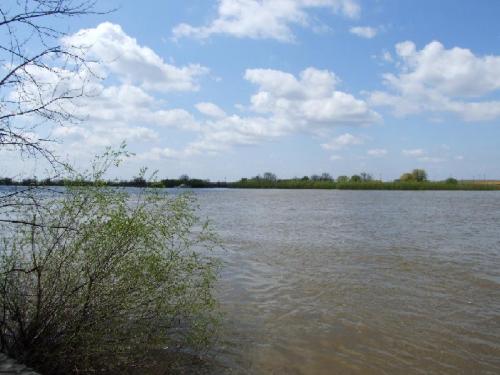 ������������� �����������