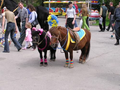 ������������� �����������