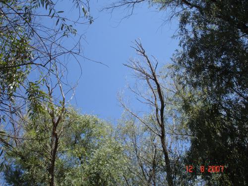 ������������� �����������