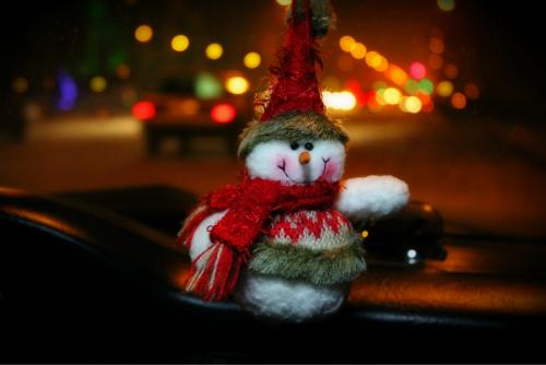 ������������� �����������