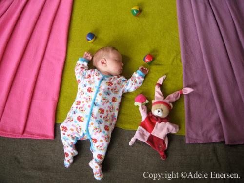 ������������� �����������