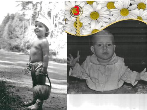 ������������� �����������