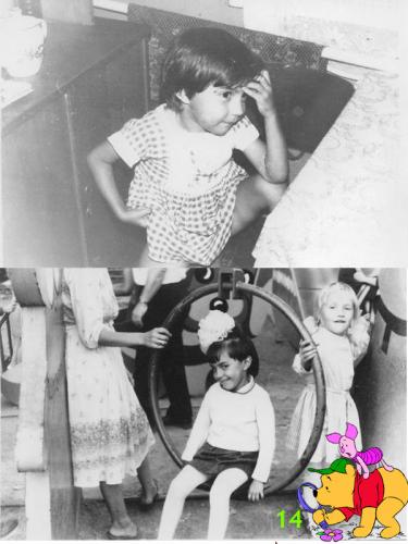 ������������� �����������