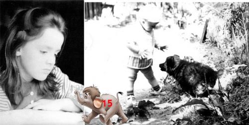 ������������� �����������