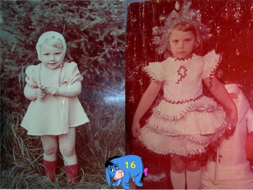 ������������� �����������