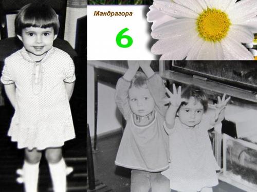 ������������� �����������