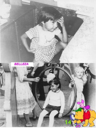 ������������� �����������