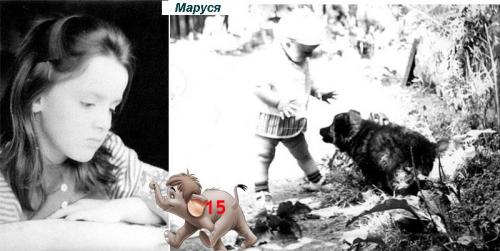 ������������� �����������