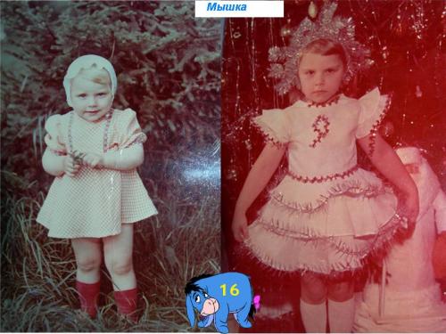 ������������� �����������