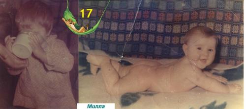 ������������� �����������