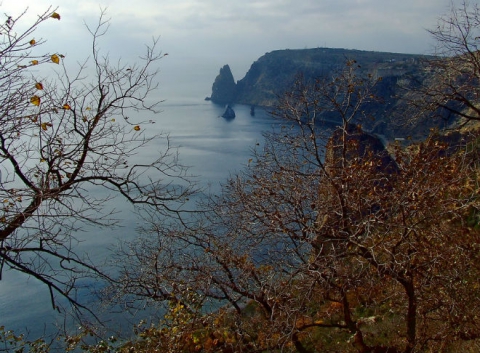 Прикрепленное изображение