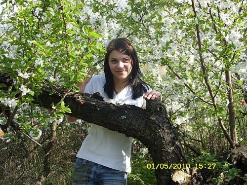 ������������� �����������