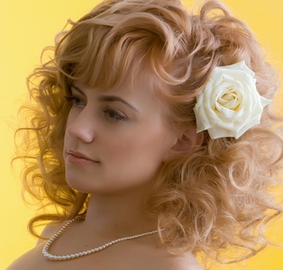 ������������� �����������