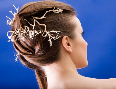 ������������� �����������