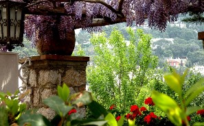 ������������� �����������