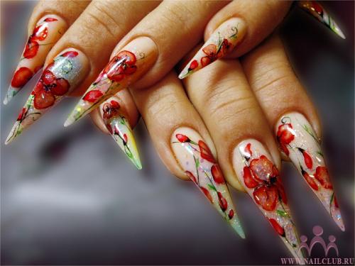 ������������� �����������