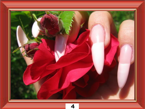 ������������� �����������