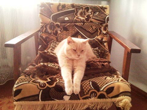 Прикрепленное изображение