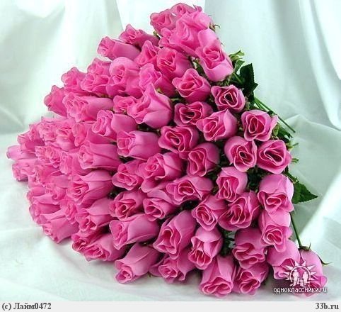 ������������� �����������