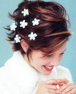 ������������� �����������