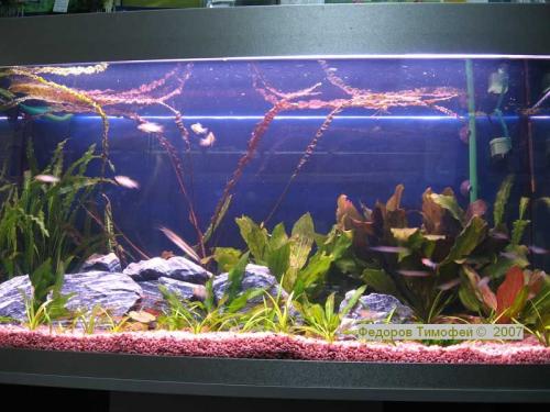 ������������� �����������