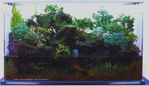 ������������� �����������