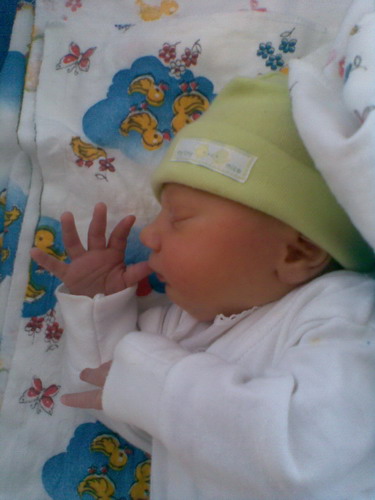 ������������� �����������