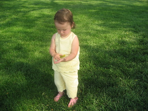 ������������� �����������