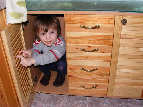 ������������� �����������