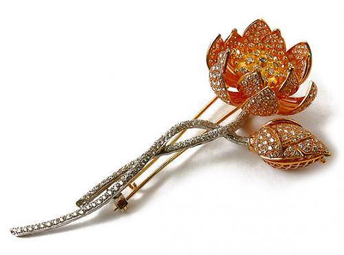 ������������� �����������