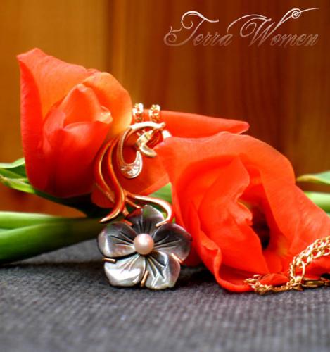 ������������� �����������