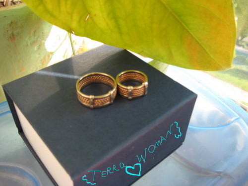 ������������� �����������