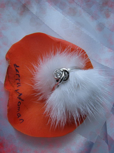 ������������� �����������