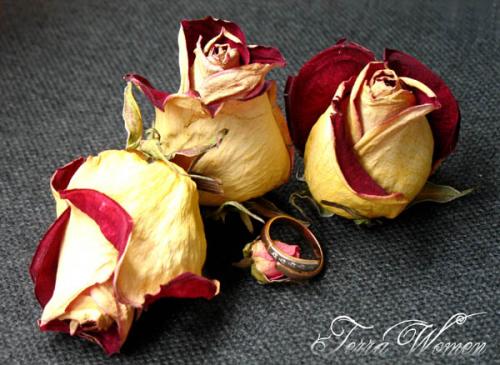 ������������� �����������