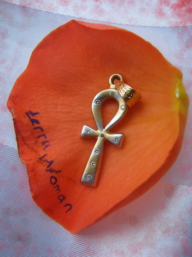 ������������� �����������