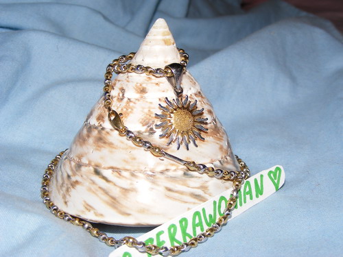 ������������� �����������