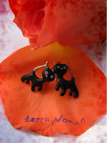 ������������� �����������