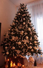 ������������� �����������