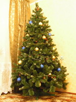 ������������� �����������