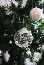 ������������� �����������