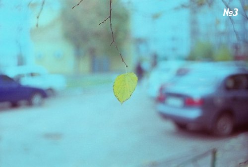 ������������� �����������