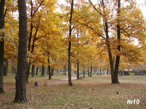 ������������� �����������