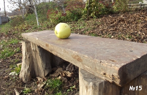 ������������� �����������