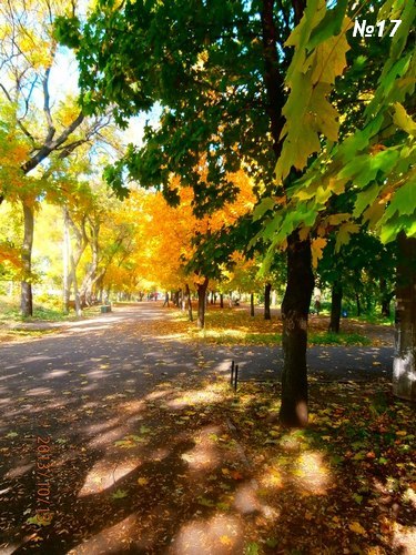 ������������� �����������