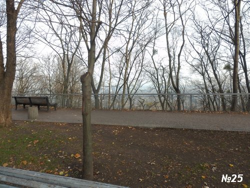 ������������� �����������