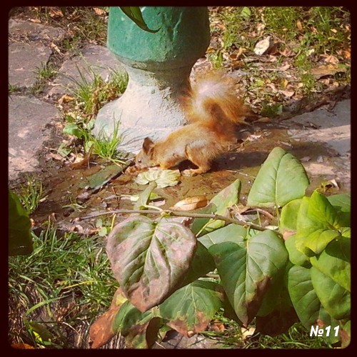 ������������� �����������